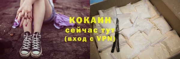 твердый Ростов