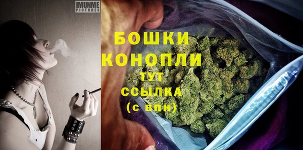 твердый Ростов