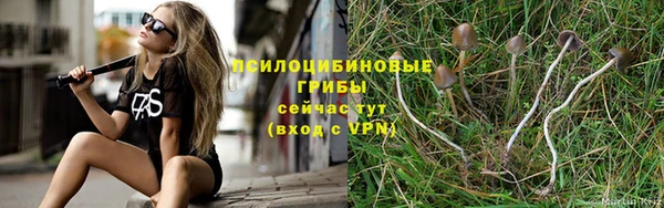 apvp Россошь