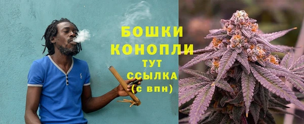 твердый Ростов
