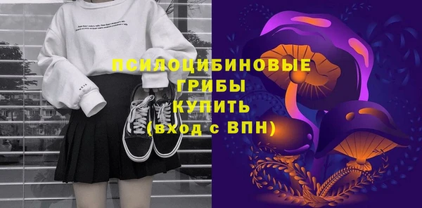 apvp Россошь