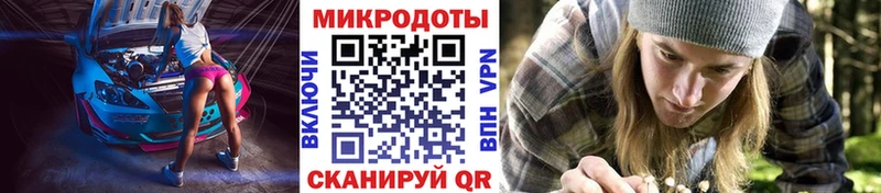 Купить где  Клинцы  Псилоцибиновые грибы Magic Shrooms 